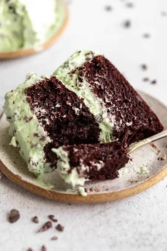 [HOP700141] GF MINT CHOCOLATE CHIP CAKE
