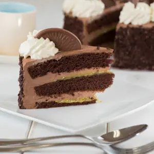 [JDFG0019] JD TERRYS CHOCOLATE ORANGE GATEAU