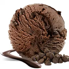 [TUBZ00331] TRIPLE CHOC ICE CREAM 5LTR